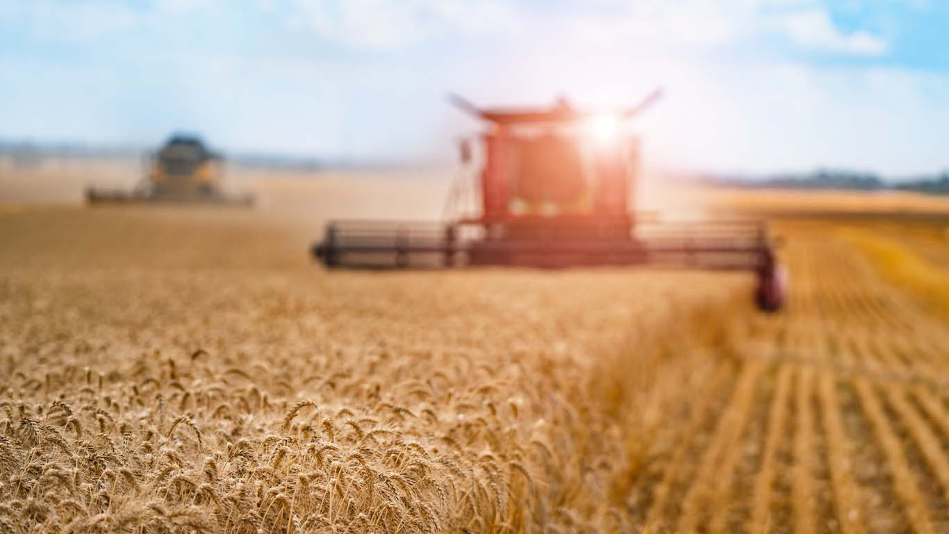 Podsumowanie sezonu wegetacyjnego 2024/2025 oraz nowości na sezon 2025/2026